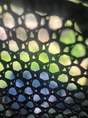 Abstract view through some sort of black netting