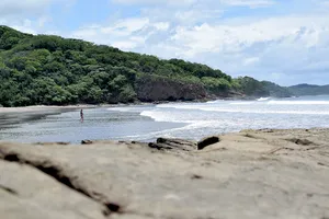 A lone person walking into the water of a cove and a forest rising up from the ocean