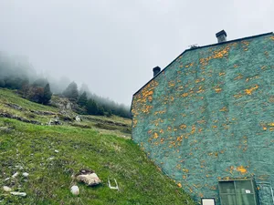 Peeling side of a building on a steep grassy hill in the fog