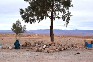 Person in a tunic under a tree with mountains in the background
