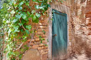 A green door on a brick structure draped in vines